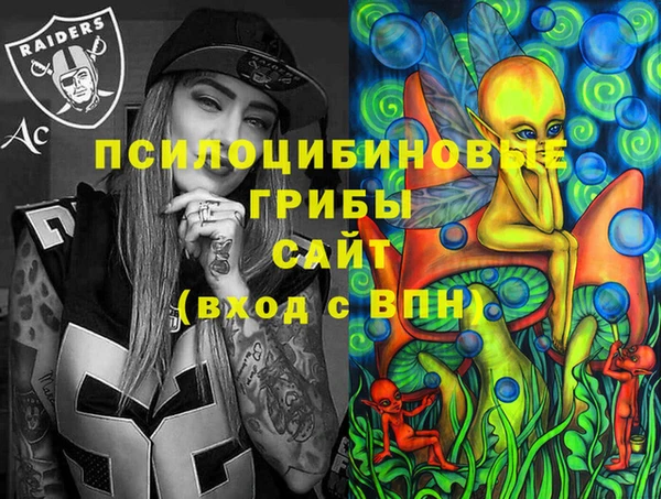 герыч Арсеньев