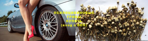 соль курить ск Аркадак
